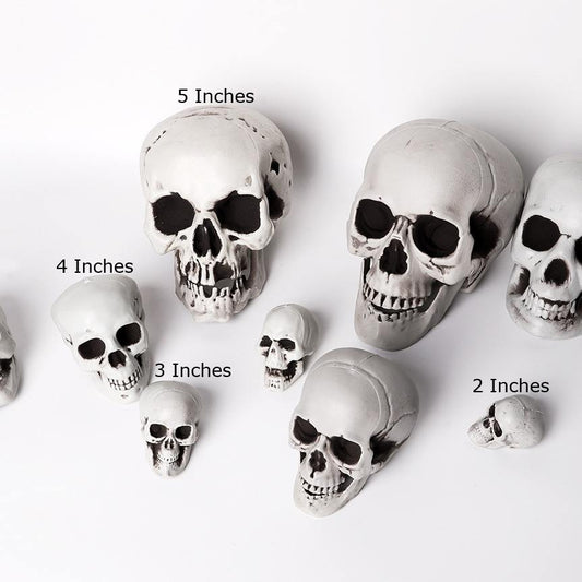 Halloween Decoration Human Skull Prop. Realistic Plastic Horror Décor with Hanging Loop or Standard Version  Spooky Skull for Haunted Houses, Parties & Outdoor Displays - 3 Pieces Set