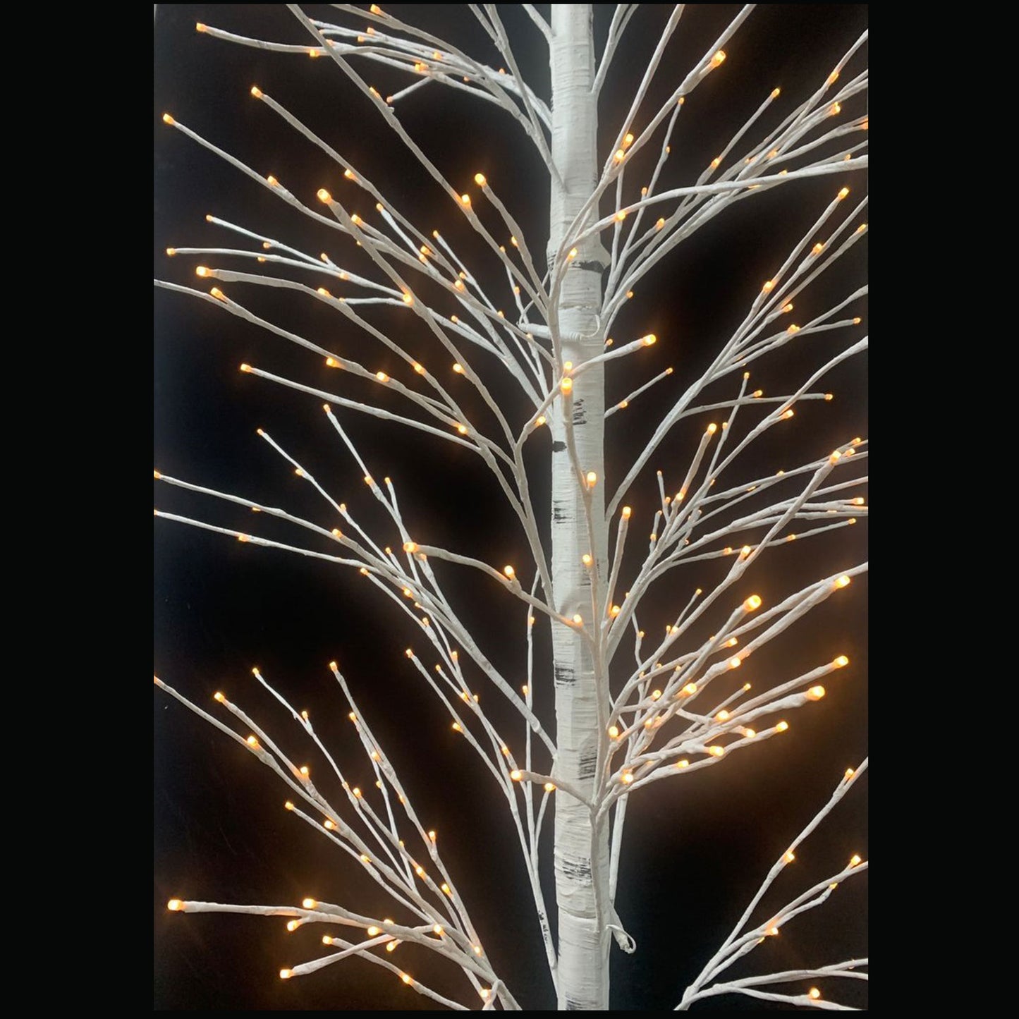 10-Ft Led Patch Magic Birch Christmas Tree With 500 Warm White LEDs. Get Two trees out of one, a 7-Foot and 10-Foot and Get free 20$ Remote Control, Featuring Several Lighting Modes. - Pre-lit Trees- Prebook Now